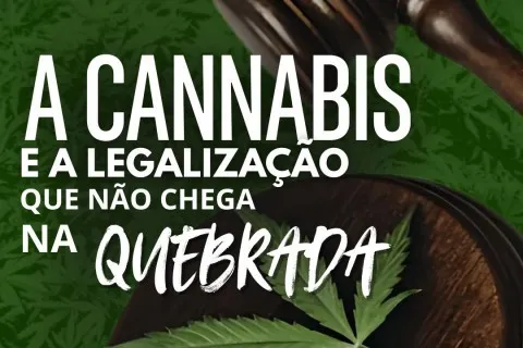 195 anos da proibição da cannabis e o viés racial envolvido